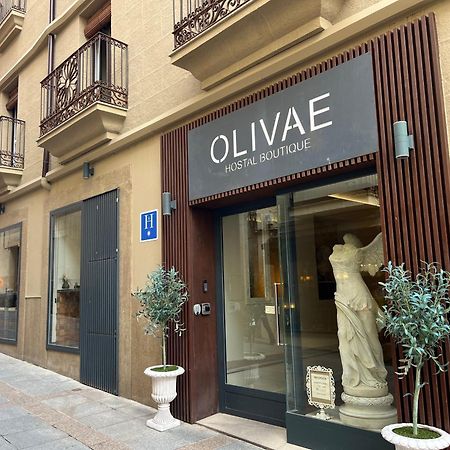 Olivae Hostal Boutique Caceres Bagian luar foto