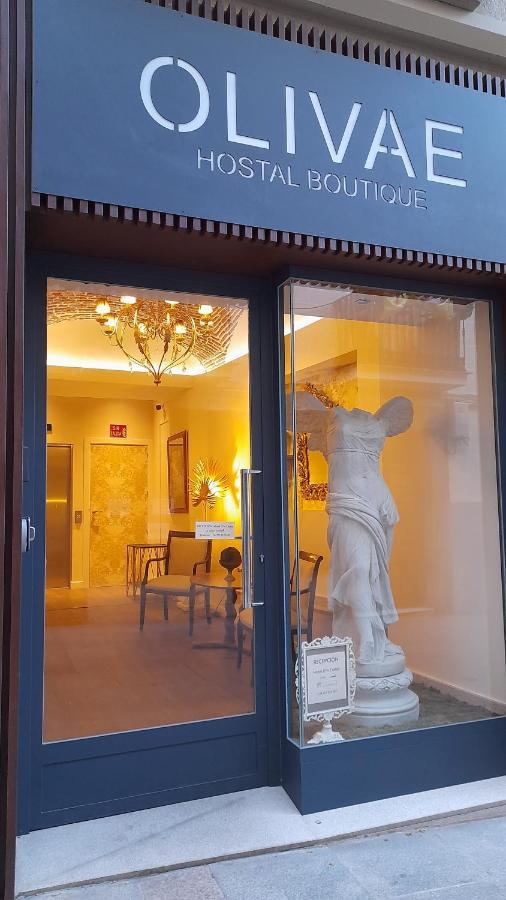 Olivae Hostal Boutique Caceres Bagian luar foto